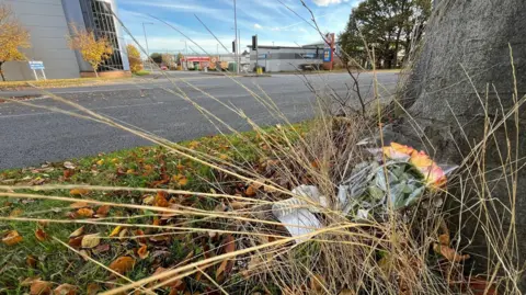 A bunch of flowers lie next to a tree, nearly buried under the dying stalks of grass. The tree is next to a road and beyond that are industrial buildings.
