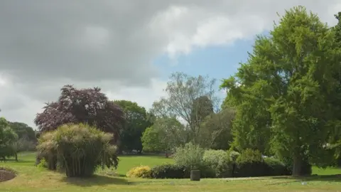 Courtenay Park, Newton Abbot. A large green park. There are trees and bushes and green grass. The sky is light blue and cloudy. 