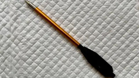 Yorkshire Swan & Wildlife Rescue A copper-coloured bolt, with a black feathered end.