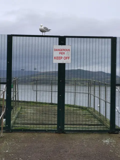 John Rodgers Seagull sitting on a fence bearing a sign reading 'dangeour pier keep off'