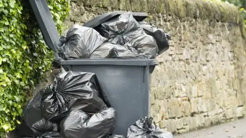 Generic image of an overflowing black bin with black bags of rubbish around it. It sits next to a stone wall with some ivy growing up it.