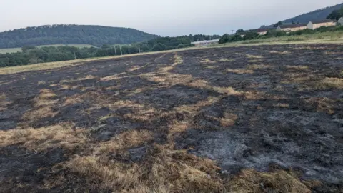 A large field on a hillside, blackened by fire, with more hills in the distance