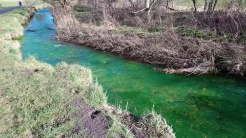 Antonia Hynd Braid Burn