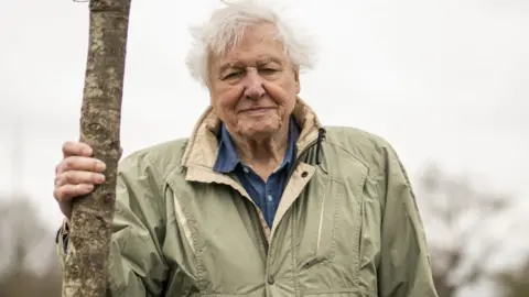 PA Media Sir David Attenborough