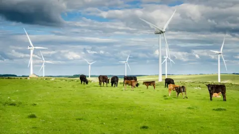 Getty Images Wind turbines in Northumberland