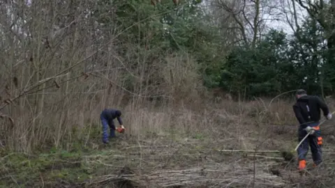 BBC Land being cleared