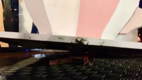 Dee Sturgess The teacup