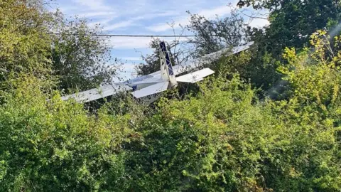 The light aircraft in the tree