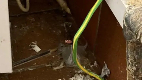 Central Bedfordshire Council possible dead mouse