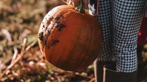 Forage Farm  A person in wellies holds a pumpkin at Forage Farm, near Cowbridge