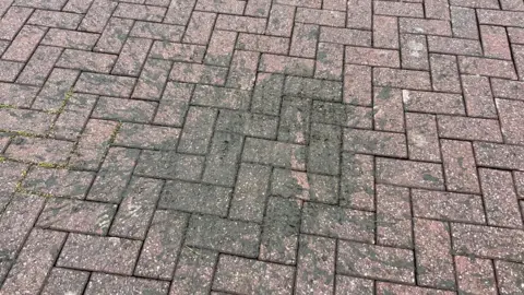 Tom Mandane Cow manure on a street