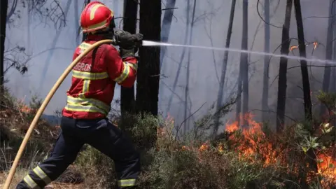 EPA A Portuguese firefighter hoses a fire in Alto da Louriceira, Pedrógão Grande region, central Portugal, 20 June 2017