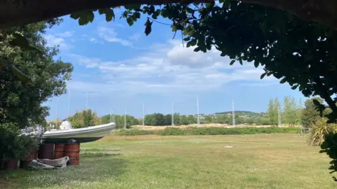 BBC Pylons seen through trees