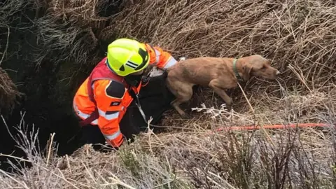 HART SAR The fire service rescuing Olive