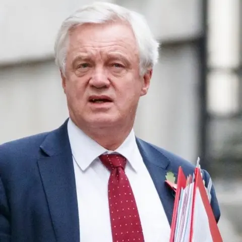 AFP/Getty Images UK's chief Brexit negotiator David Davis. Photo: 31 October 2017