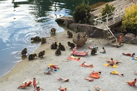 Babbacombe Model Village Ducks on the beach at Babbacombe Model Village