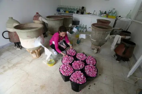 EPA Tunisian Rania Mansour, 38, produces rose water traditionally in her workshop Nabeul, south of Tunis.