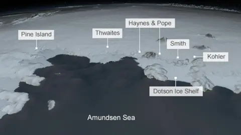 BBC Graphic ice shelves