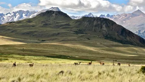 Vista del Parque Patagonia de la Reserva Tompkins