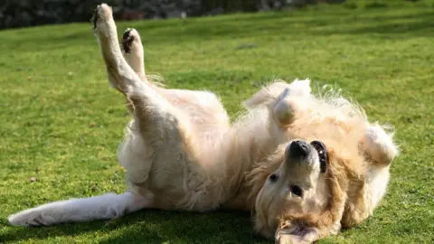 Doug Peters/PA Media Assignments Trigger