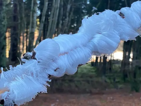 Martin Pirie Hair ice