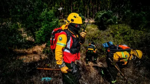 Getty Images Firefighters in Portugal clear vegetation on the edge of a eucalyptus forest