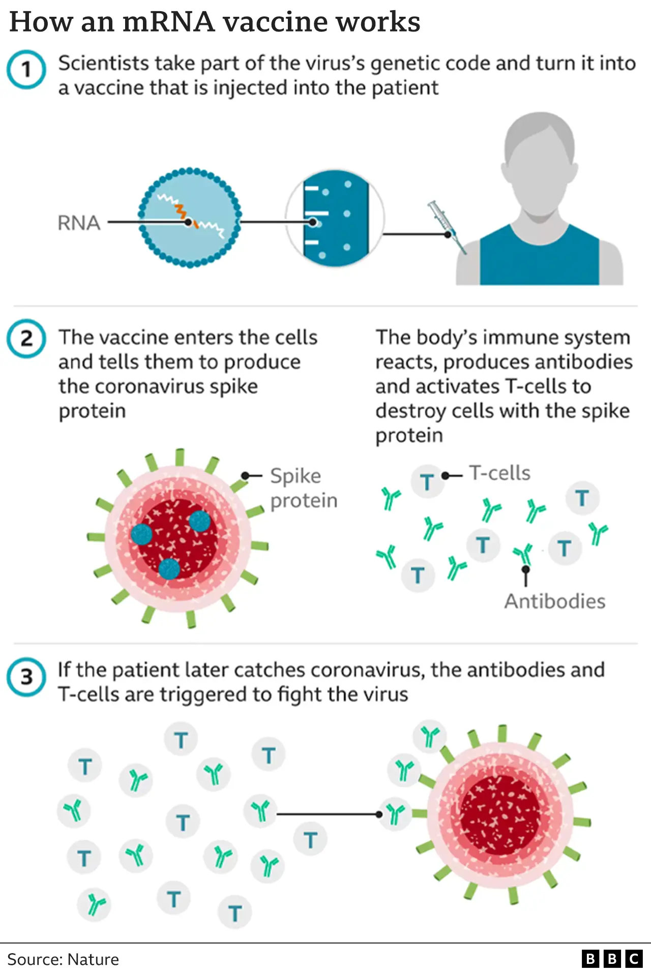 Nobel Prize Goes To Scientists Behind MRNA Covid Vaccines