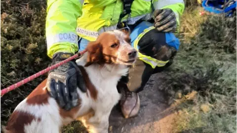 Boscastle Coastguard A photo of Henry