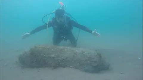 James Brown Unexploded bomb