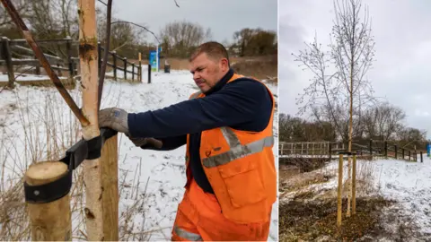Leicester City Council Tree being planted for the Watermead Memorial Walk