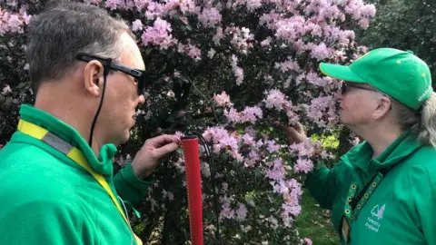 BBC Two people sniff and touch pink tree blossom