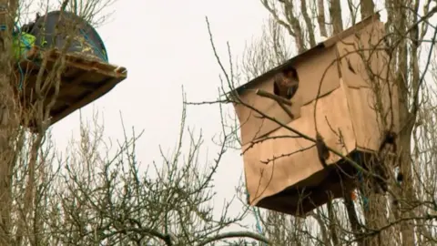 Stapleton allotment protestors in Bristol in 2015