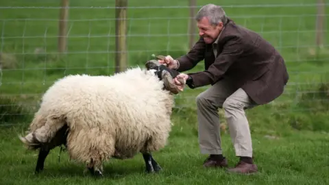 PA Media Willie Rennie wrestling a sheep