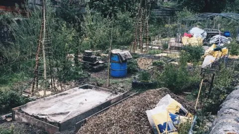 Allotment, West Yorkshire (Image: BBC)