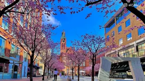 BBC Oozells Square blossom