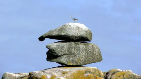 Mike Harcum Deason's Cap