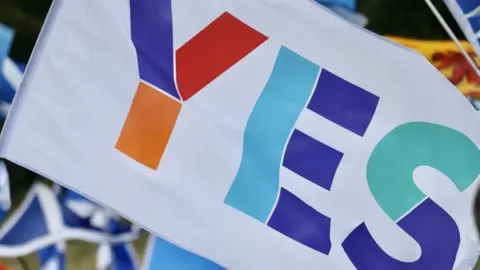 "Yes" flag