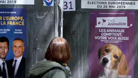 Reuters A woman looks at official European election posters outside a polling station in Paris