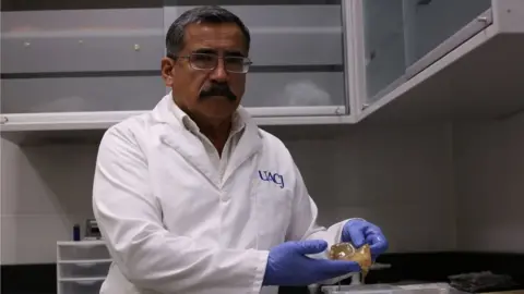 Alicia Fernandez Dr Alejandro Hernández Cárdenas in his lab