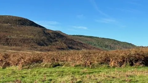 Simonside Hills