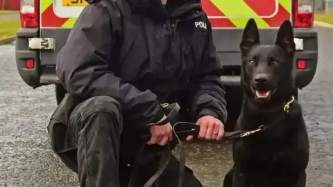 BBC A police dog and a handler