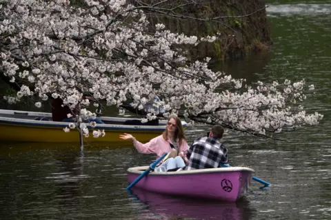 AFP People use boats on Chidorigafuchi, one of the moats around the Imperial Palace, with cherry blossoms in Tokyo on April 4, 2024.