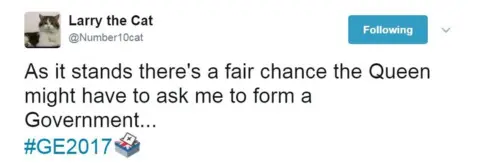 Twitter Twitter post from a cat