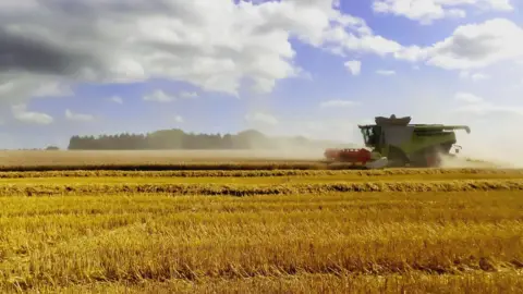 Getty Images wheat