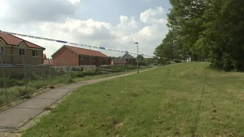 BBC The grassland area where the assault took place