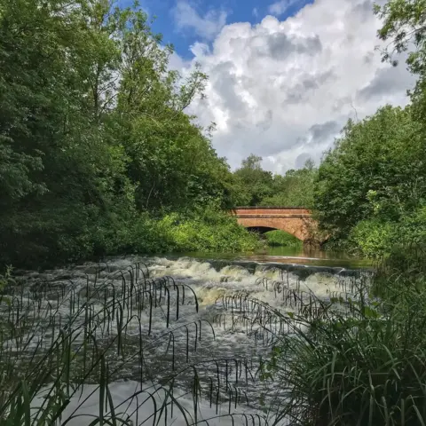 David Meek The Hunter Street Bridge at the University of Buckingham