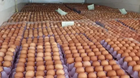 St Ewe Hundreds of eggs in boxes