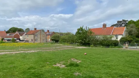 Fiona Ryders Field in the centre of Bramfield, Suffolk