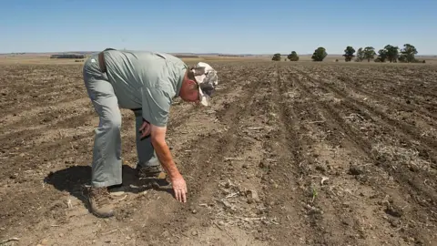 Getty Images Manie van Rooy at his farm on November 6, 2015 near Frankfort, South Africa.
