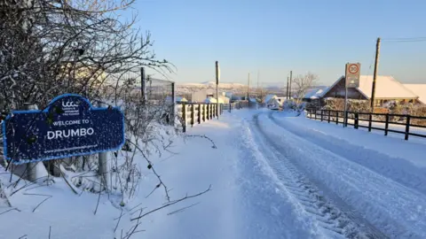 David Adams A snowy scene in Drumbo in Lisburn taken at 0700 this morning